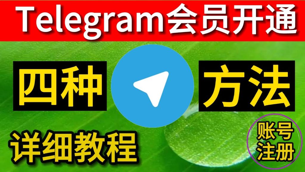 如何在Telegram开通会员？